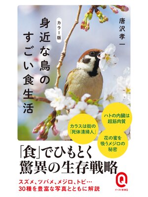 cover image of カラー版　身近な鳥のすごい食生活
